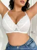 Sujetador europeo de talla grande transfronterizo, lencería para mujer, push-up de encaje, calidad de exportación, estilo popular en Amazon en Europa y EE. UU., nueva colección para mujer