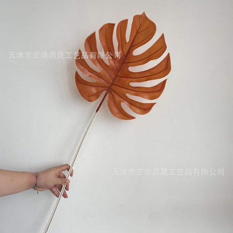 微信图片_202208091601428_副本