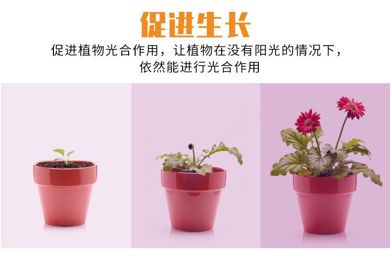 变形植物灯D款_05.jpg