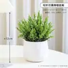 Lujo Ligero Estilo Escandinavo Planta Potos Simulada Bonsái Flores Artificiales Adornos Hoja de Tortuga Maceta Mesa Decoraciones de Flores Falsas