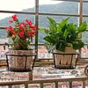 Ferro Arte Interior Multi-Camadas Suporte de Flores Varanda Grade Pendurado Suporte para Vasos de Flores Peitoril da Janela Prateleira de Armazenamento Forma Redonda Simples