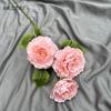 Simulação de 3 Arranjos Florais de Peônia Estilo Coreano para Auditório de Casamento Decoração de Paisagem Adereços de Fotografia Flores Artificiais Atacado Comércio Exterior