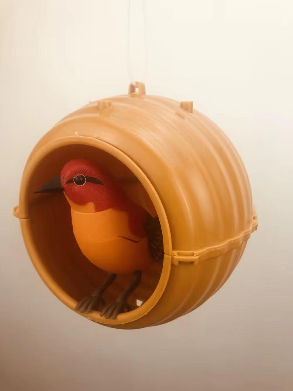 5.jpg?x-oss-process=image/format,png