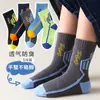 [Nuevo Producto] Calcetines para Niños Niños Primavera Otoño Invierno Transfronterizos de Caña Media Estudiante Calcetines Deportivos Digitales Niños Medianos y Grandes Más Fáciles de Combinar