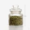 Frasco de Almacenamiento de Vidrio, Frasco de Vidrio, Tarro de Té, Frasco de Almacenamiento de Condimentos y Granos para Alimentos de Cocina, Tarro de Miel, Sellado y Conservador de la Frescura