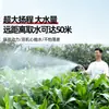 Bomba de Agua de Batería de Litio Recargable para Riego de Huertos en Zonas Rurales, Riego Agrícola, Máquina de Riego para Exteriores