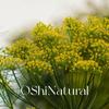 Aceite Esencial de Hinojo Dulce Orgánico de Austria Importado Natural Planta Cuidado de la Piel Aromaterapia Agua Aceite Esencial Único Materia Prima