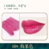 Bairo polvo de labios diy casero planta color primario polvo hecho a mano superfino color polvo material marca número de color polvo que cambia de color