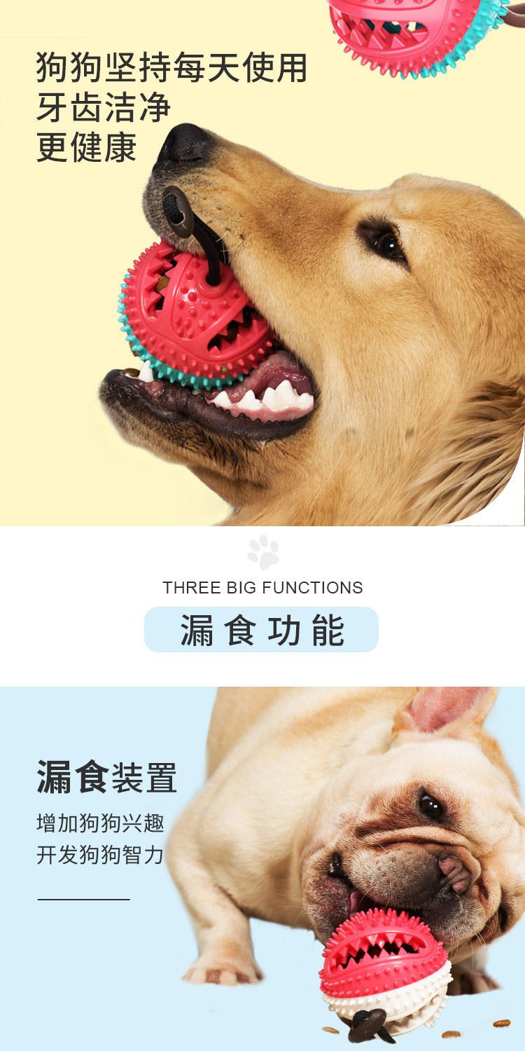 发声漏食球详情_05