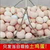 40 piezas de huevos frescos naturales de granja de gallinas de corral auténticas, ricos en nutrientes de Cordyceps, aptos para uso comercial, disponibles para compra al por mayor