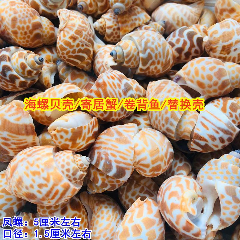 QQ图片20211010114124.jpg