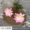 26 Años de Materiales de Flores Rosadas, Diseño de Rendimiento Comercial, Flores Falsas para Sesión de Fotos de Boda Romántica, Flores de Seda para Decoración Suave