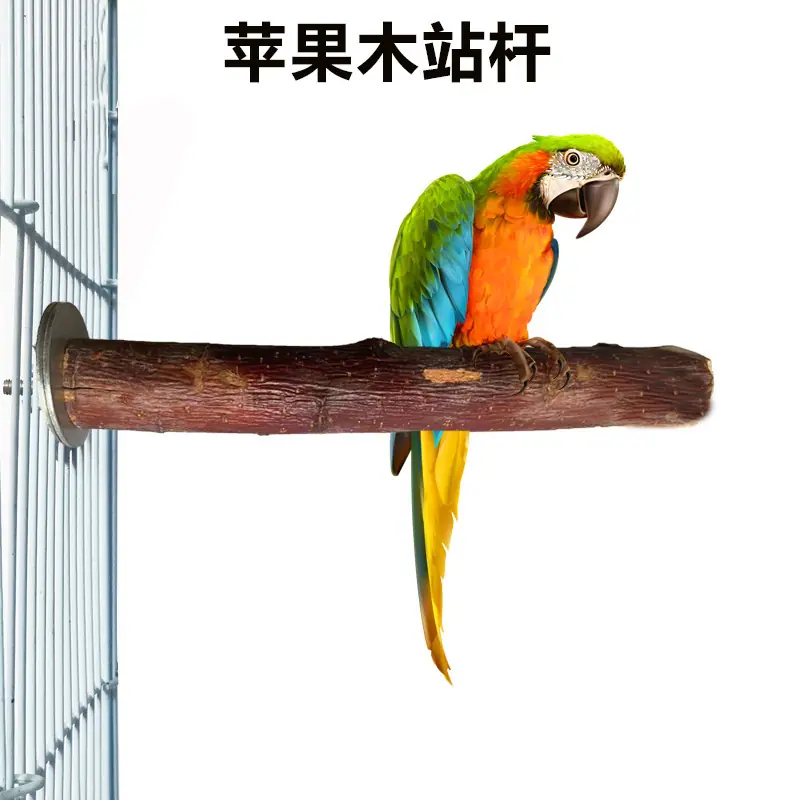 详情-06
