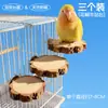Pequeña plataforma de descanso de madera para pájaros sol, percha de madera de pimiento para periquitos pequeños, plataforma de salto de madera maciza para periquitos y cotorras, decoración de jaula para pájaros