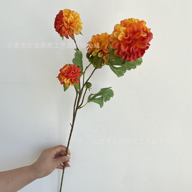 微信图片_202208311113222_副本