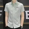Comércio Exterior Transfronteiriço Quatro Estações Camisa Masculina Juventude Verão Xadrez Bordado Manga Curta Casual Slim-fit