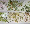 Cinta con Estampado Dorado, Letras de Hoja de Arce con Temática de Garrote Estilo Antiguo, Material Fluido con Temática de Chica, Paquete de Pegatinas para Estudiantes