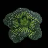 Acessórios de Joias com Strass de Camélia Transfronteiriços Flores Tridimensionais de Sapato de Camada Dupla Acessórios para Roupas Acessórios de Broche para Headwear DIY
