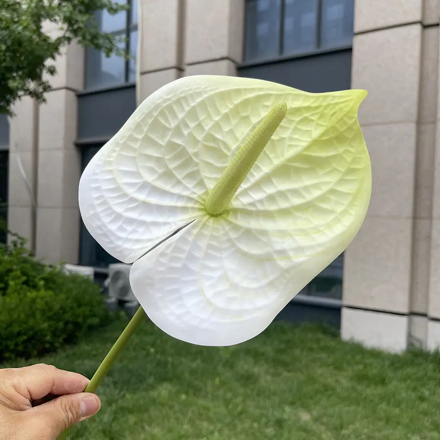 1号3D打印大红掌-xjmlkx 4#绿头白底.JPG