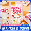 Bactérias Fermentadoras de Iogurte Runwanxiang 2g Probiótico Bactérias Ácido Láctico Bifidobacterium Caseiro caseiro Rico em Bactérias para Iogurte em Pó