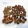 Pinha Chips de Madeira Bolota Materiais Secos Foto Frame de Planta DIY Artesanal Pacote de Material de Flor Seca Decoração de Exibição