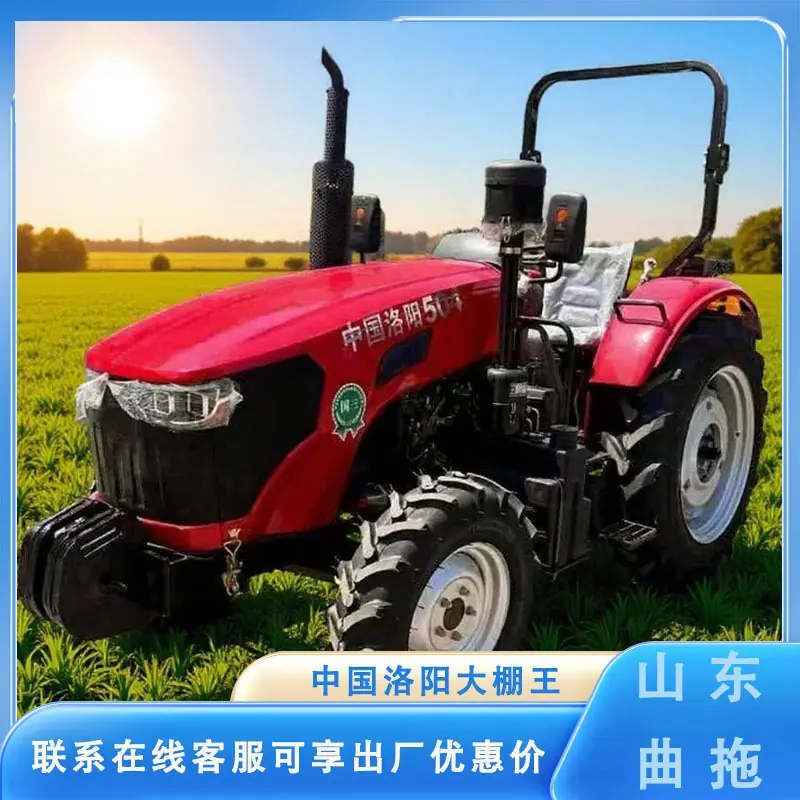 瑞得504大棚王 3