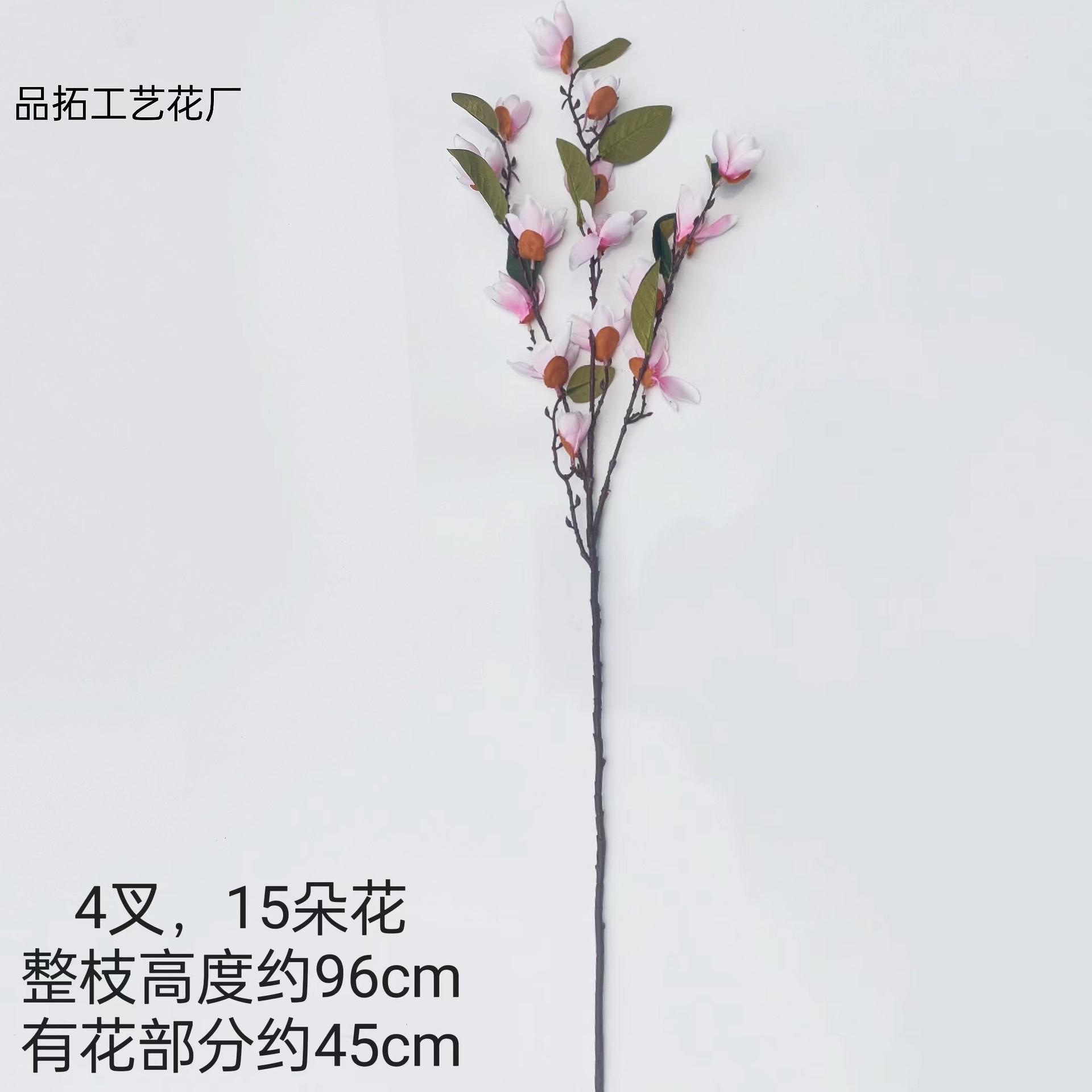 7094da24dd45cfe574c6f54be77cd4