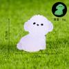Micro Paisagem Criativa Luminosa Bichon Frisé Fofo Estatueta DIY Decoração Acessórios Mesa de Escritório Mini Ornamento