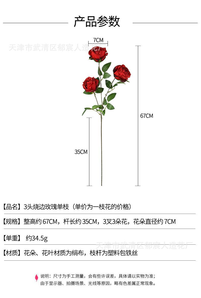 详情_01.jpg