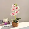 Flor Artificial Tacto Real Phalaenopsis Planta en Maceta Sala de Estar Estudio Oficina Escritorio Decoración Adornos Planta Verde Artificial Bonsái Artificial