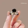Pinza para el Cabello Exquisita de Gama Alta Estilo Coreano para Mujer Pinza de Garra Pequeña de Princesa Pinza Versátil para Flequillo Lateral Pinza Lateral Elegante