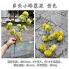 Cruzamento de Fronteira Novo Produto Colmeia Artificial Fruta Multi-Cabeça Pequena Fruta Colmeia Corredor de Casamento Portátil Casa Decoração Macia Flores Artificiais Atacado