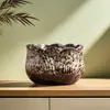 Grupo vaso de flor de carne crua cerâmica household grés pote de cerâmica pote de cerâmica de diâmetro grande prato de flor verde liquidação especial atacado