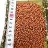 Aquário Tanque de peixes Areia de Ceramsita areia cerâmica areia de fundo para aquário areia para plantas aquáticas areia para plantas aquáticas grão grande 5kg