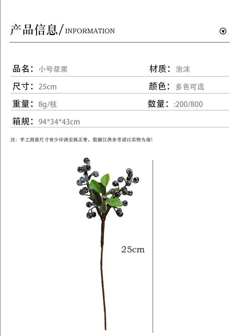 小号浆果_03