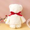 Toalha de urso para mão presente caixa de presente atacado atividades práticas presente jardim de infância Festival Empresa presente de casamento