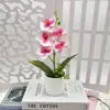 Cinco Filmes Impressos Orquídea Phalaenopsis Bonsai Decoração de Escritório Plantas Artificiais em Vasos Jardim Externo Pátio Ornamentos de Plantas Verdes