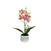Cuatro Película Impresa Orquídea Rosquilla Bonsái Decoración de Escritorio de Oficina Flor Artificial Arreglo en Maceta Accesorios para Fotos
