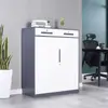 Gabinete de Archivo Desmontable de Acero Gris y Blanco Gabinete de Documentos de Oficina Gabinete de Archivo de Vouchers Taquilla Metálica de Lado Angosto con Cerradura