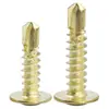Tornillos Autorroscantes Redondos de Acero Inoxidable 304/410 Color Dorado con Cabeza Phillips y Cabeza Plana M4.8