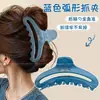 Atacado de acessórios de cabelo Dongdaemun Coreia: Grampos de cabelo da nuca da moda para mulheres, presilhas tubarão de alta qualidade e requintadas