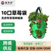 Bolsas de Cultivo de Fresas de Tela No Tejida Saisheng en Stock, Bolsas de Crecimiento de Plantas, Bolsas de Fresas de 10 Bocas, Cubos de Plantación de Fieltro para Jardinería