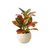 Planta Verde Artificial em Vaso para Escritório, Decorações de Mesa Interna para Sala de Estar de Alto Padrão, Plantas e Flores Artificiais, Adereços para Fotografia
