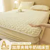 Saia de Cama de Veludo Leite Grau Mãe e Bebê Classe A Capa Peça Única Inverno Acolchoado Espesso Protetor de Colchão Capa de Cama de Veludo Coral 2