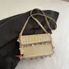 Bolso Bandolera Cruzado de Cadena Tejido de Paja para Mujer de Comercio Exterior 2025 Nuevo Estilo Borla Concha Playa Solapa Cuadrado Pequeño