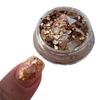 Joyas para uñas de lentejuelas de mica Maillard 2023 otoño e invierno Nuevo trozo de concha brillo papel de aluminio dorado usar joyas para uñas