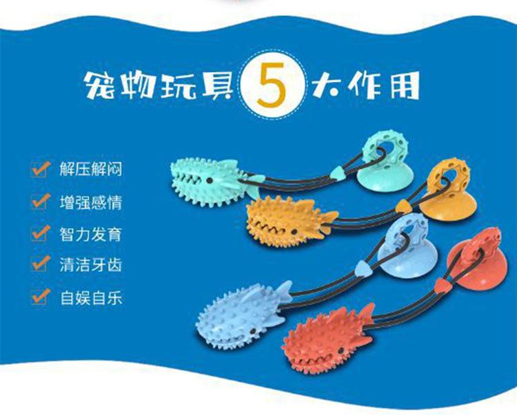 鲨鱼_02.jpg