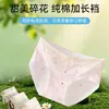 Nueva Tanga de Mujer Estilo Coreano Puff de Leche Seda de Hielo Cómoda Sin Costuras Algodón Puro Entrepierna Extendida Cintura Media Sin Pellizcos
