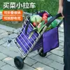 Fabricante de carritos de compras transfronterizos: Carrito de compras ligero para uso doméstico, carrito de compras portátil para personas mayores, carrito para entrega en supermercado y transporte de paquetes