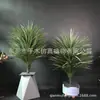 Novo conjunto de planta simulada em vaso dracena com vaso plástico preto folhas de filme 2 cores
